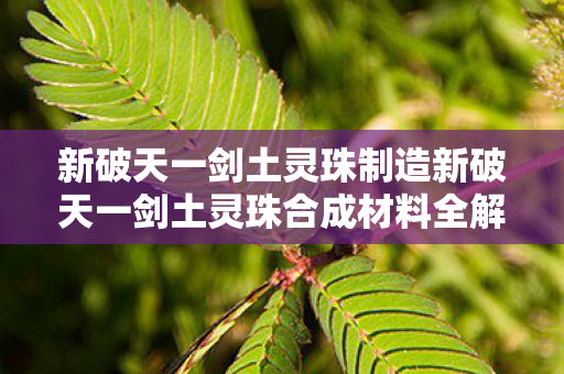 新破天一剑土灵珠制造新破天一剑土灵珠合成材料全解析，打造传奇装备的关键要素，新破天一剑，土灵珠合成材料全解析，揭秘传奇装备打造关键要素