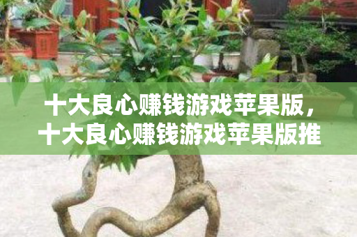 十大良心赚钱游戏苹果版,十大良心赚钱游戏苹果版推荐 十大良心赚钱游戏苹果版,十大良心赚钱游戏苹果版推荐
