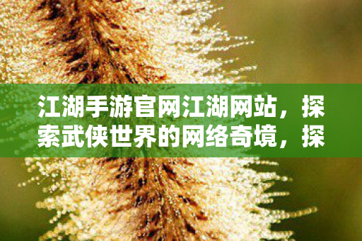 江湖手游官网江湖网站,探索武侠世界的网络奇境,探索武侠世界的网络奇境,江湖手游官网 江湖手游官网江湖网站,探索武侠世界的网络奇境,探索武侠世界的网络奇境,江湖手游官网
