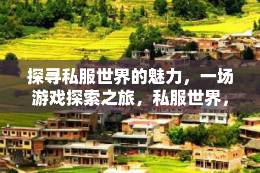 探寻私服世界的魅力,一场游戏探索之旅,私服世界,一场游戏探索之旅的魅力 探寻私服世界的魅力,一场游戏探索之旅,私服世界,一场游戏探索之旅的魅力
