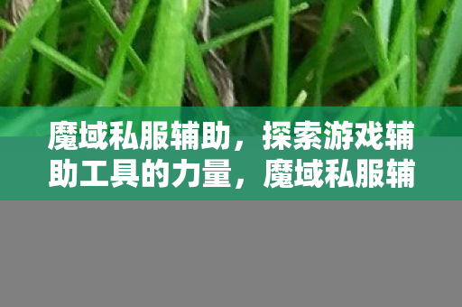 探索游戏辅助工具的力量图片