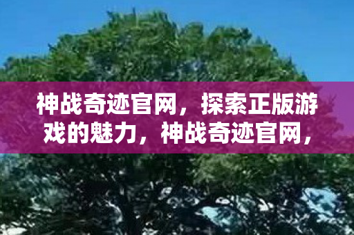 探索正版游戏的魅力图片