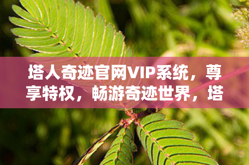 塔人奇迹官网VIP系统图片