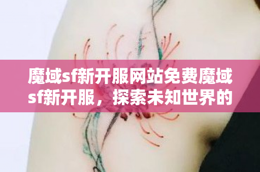魔域sf新开服网站免费魔域sf新开服图片