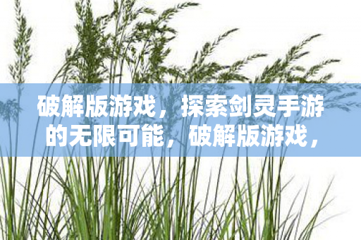 破解版游戏，探索剑灵手游的无限可能，破解版游戏，探索剑灵手游的无限可能