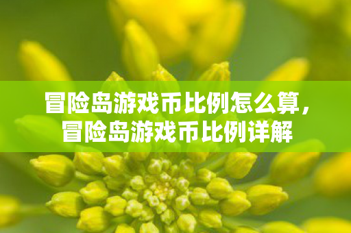 冒险岛游戏币比例怎么算,冒险岛游戏币比例详解 冒险岛游戏币比例怎么算,冒险岛游戏币比例详解