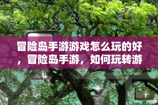 冒险岛手游游戏怎么玩的好，冒险岛手游，如何玩转游戏？