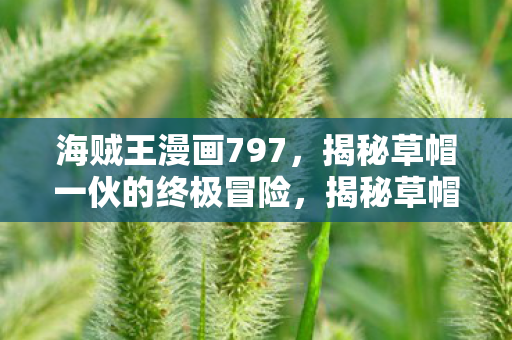 揭秘草帽一伙的终极冒险图片