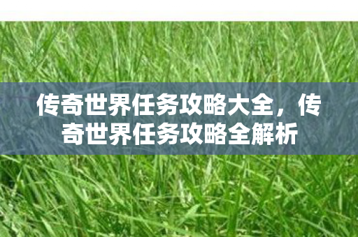 传奇世界任务攻略全解析图片