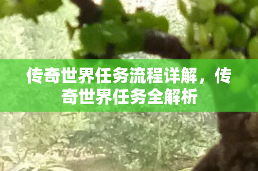 传奇世界任务流程详解图片