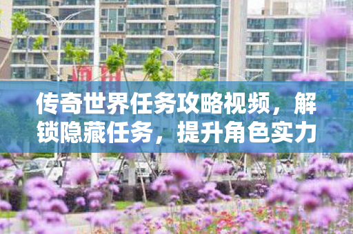 传奇世界任务攻略视频图片