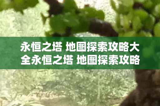 永恒之塔 地图探索攻略大全永恒之塔 地图探索攻略图片
