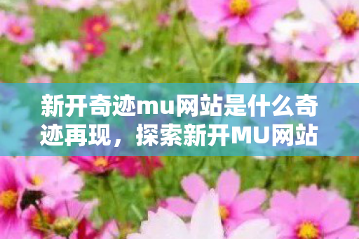 新开奇迹mu网站是什么奇迹再现图片
