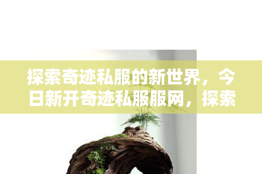 今日新开奇迹私服服网等你来征服图片