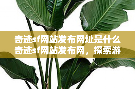 奇迹sf网站发布网址是什么奇迹sf网站发布网图片