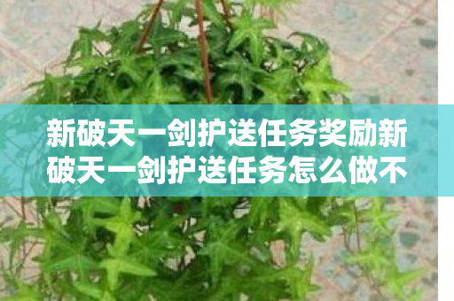 新破天一剑护送任务奖励新破天一剑护送任务怎么做不了图片