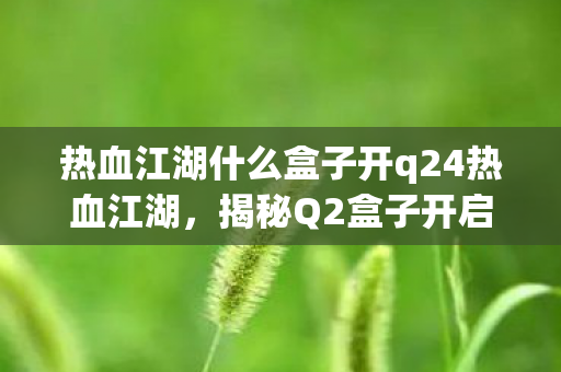 热血江湖什么盒子开q24热血江湖，揭秘Q2盒子开启秘籍，助你轻松获取极品装备，揭秘Q2盒子开启秘籍，助你轻松获取极品装备