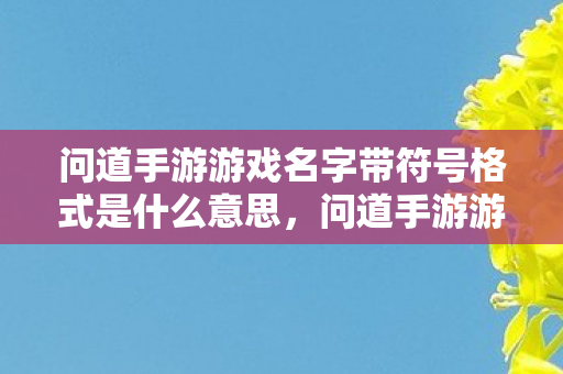 问道手游游戏名字带符号格式是什么意思,问道手游游戏名字带符号格式含义解析 问道手游游戏名字带符号格式是什么意思,问道手游游戏名字带符号格式含义解析