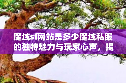 魔域sf网站是多少魔域私服的独特魅力与玩家心声图片