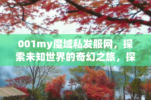 001my魔域私发服网图片
