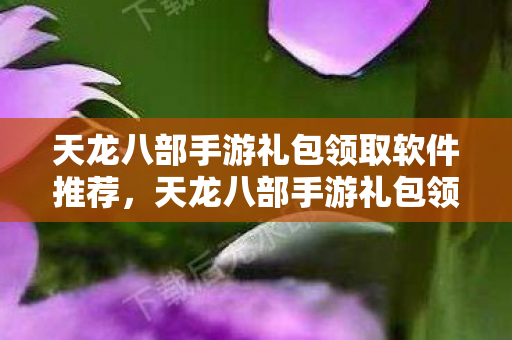 天龙八部手游礼包领取软件推荐图片