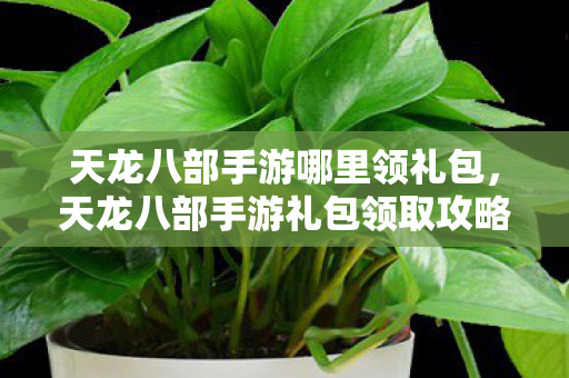 天龙八部手游礼包领取攻略图片