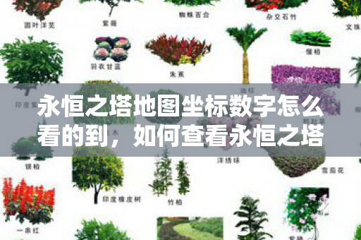 永恒之塔地图坐标数字怎么看的到图片