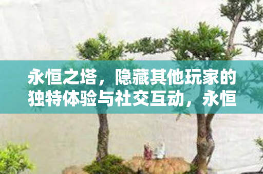 隐藏其他玩家的独特体验与社交互动图片