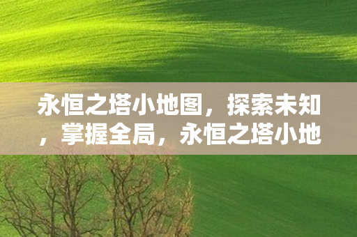 永恒之塔小地图图片