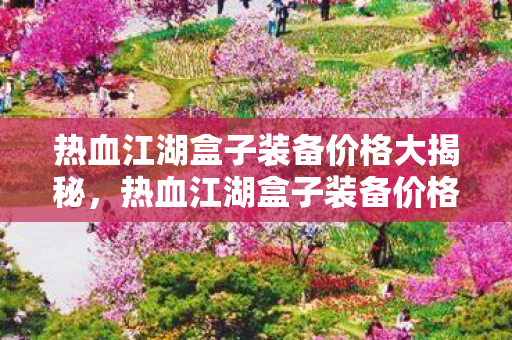 热血江湖盒子装备价格大揭秘，热血江湖盒子装备价格全解析