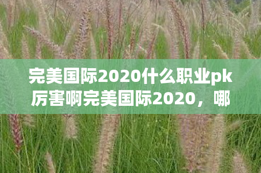 完美国际2020什么职业pk厉害啊完美国际2020图片