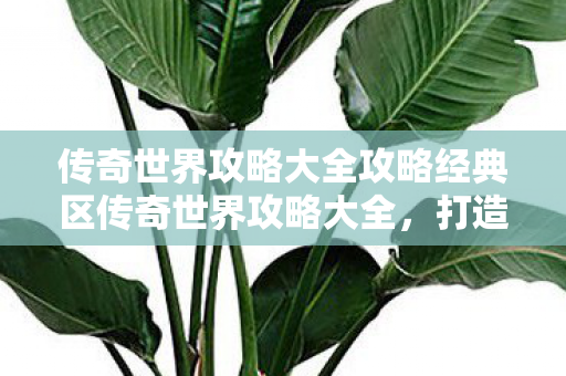 传奇世界攻略大全攻略经典区传奇世界攻略大全图片