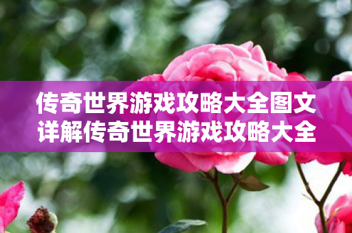 传奇世界游戏攻略大全图文详解传奇世界游戏攻略大全图文图片
