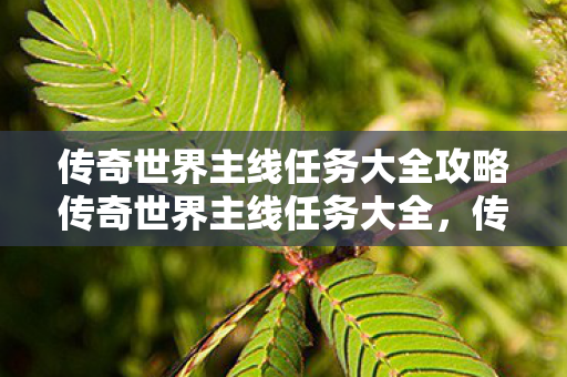 传奇世界主线任务大全攻略传奇世界主线任务大全图片