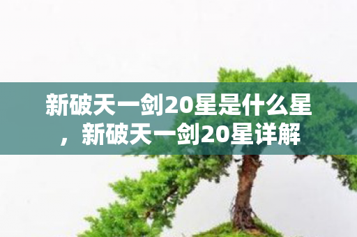 新破天一剑20星是什么星图片