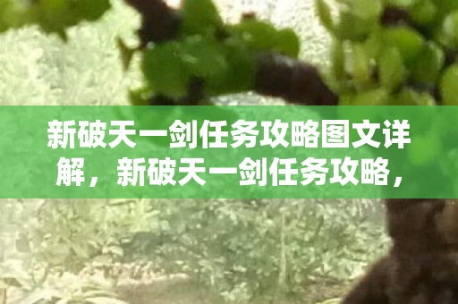 新破天一剑任务攻略图文详解图片