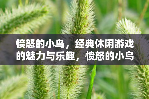 愤怒的小鸟，经典休闲游戏的魅力与乐趣，愤怒的小鸟经典休闲游戏的魅力与乐趣