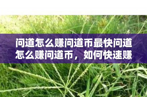问道怎么赚问道币最快问道怎么赚问道币,如何快速赚取问道币,高效赚钱攻略 问道怎么赚问道币最快问道怎么赚问道币,如何快速赚取问道币,高效赚钱攻略
