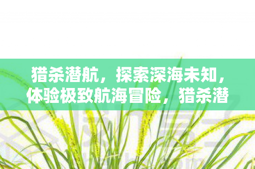 深海探险的极致航海冒险图片
