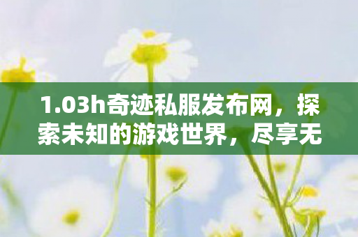 03h奇迹私服发布网图片