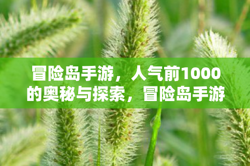冒险岛手游,人气前1000的奥秘与探索,冒险岛手游,揭秘人气前1000的奥秘与探索之旅 冒险岛手游,人气前1000的奥秘与探索,冒险岛手游,揭秘人气前1000的奥秘与探索之旅