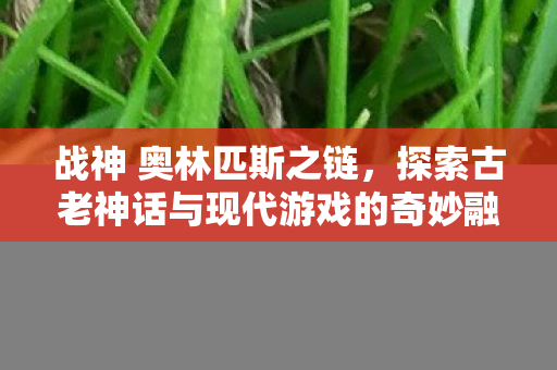 奥林匹斯之链探索神话与游戏的奇妙融合图片