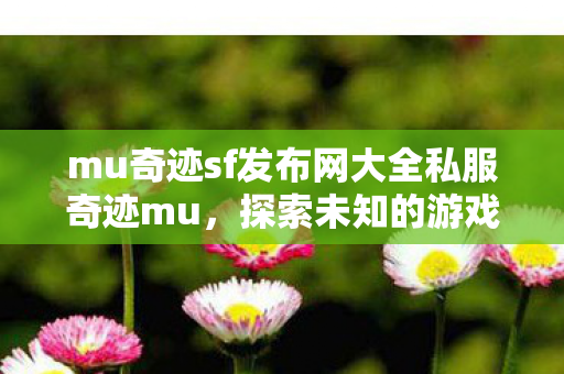 mu奇迹sf发布网大全私服奇迹mu图片