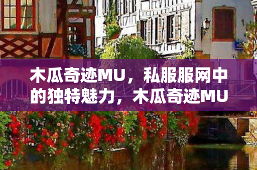 私服服网中的独特魅力图片