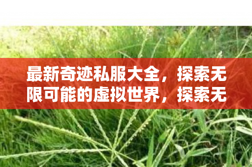 探索无限可能的虚拟世界图片