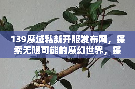 139魔域私新开服发布网图片
