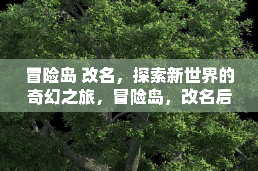 冒险岛 改名,探索新世界的奇幻之旅,冒险岛,改名后的奇幻之旅 冒险岛 改名,探索新世界的奇幻之旅,冒险岛,改名后的奇幻之旅