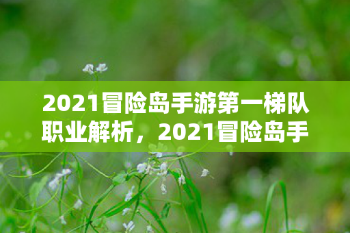 2021冒险岛手游第一梯队职业解析，2021冒险岛手游，第一梯队职业全面解析