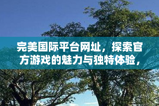 探索官方游戏的魅力与独特体验图片