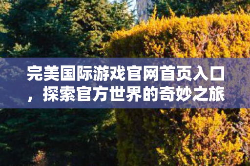 完美国际游戏官网首页入口图片